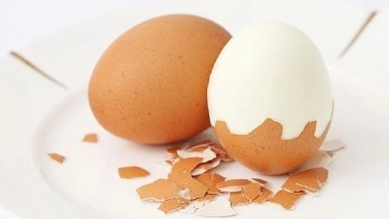 telur rebus